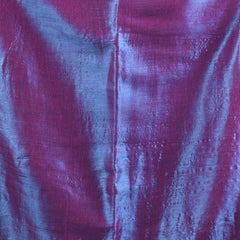 SAREEN Royal Dual Tone Raga Tissue Saree – Premium Festive Wear