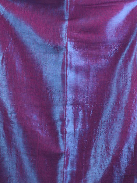 SAREEN Royal Dual Tone Raga Tissue Saree – Premium Festive Wear